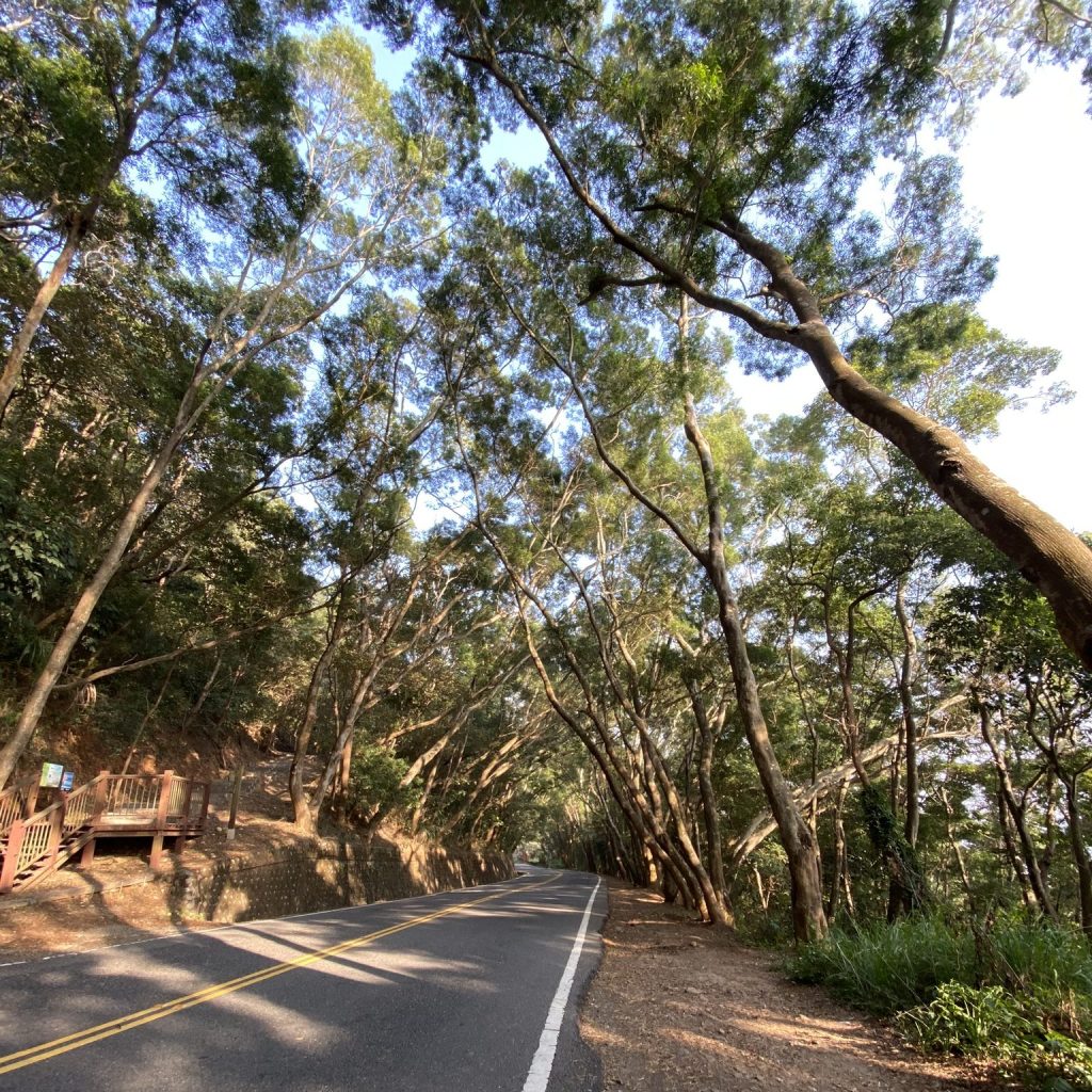 長青自行車道頂端